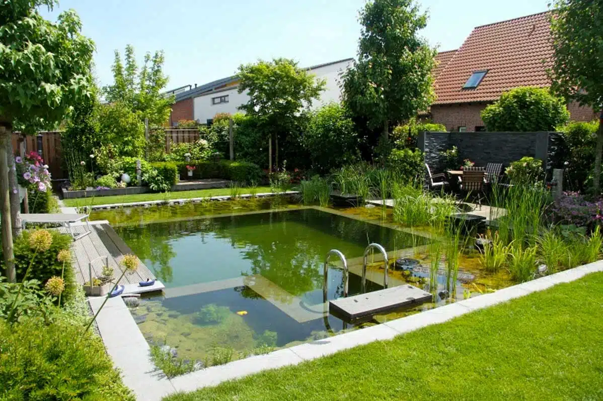 Comment créer une piscine naturelle dans son jardin