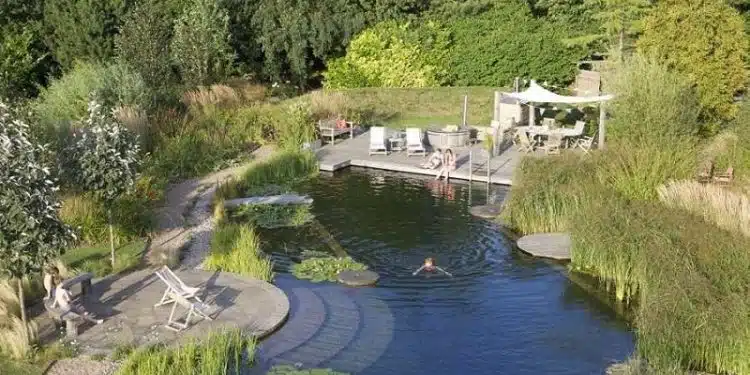 Comment créer une piscine naturelle dans son jardin