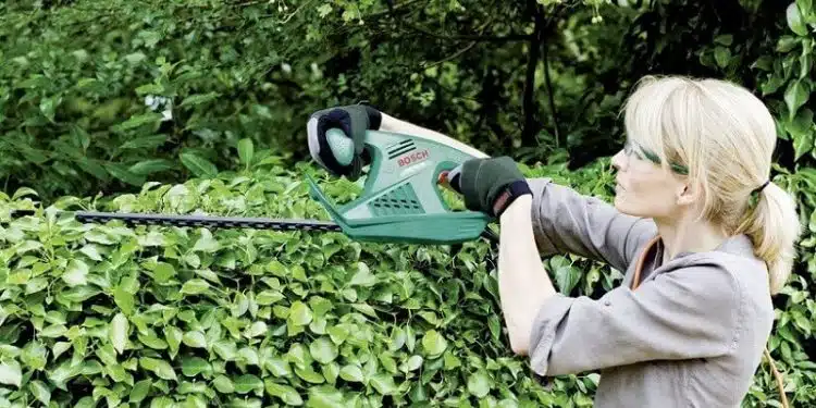 Tailler une haie quand et quelles techniques pour la taille de haie