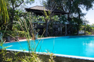 Aménagement extérieur : comment un pisciniste transforme votre jardin à Angers ?