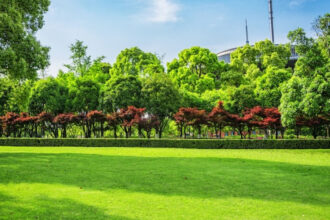 Aménager son jardin avec des haies artificielles : conseils pratiques