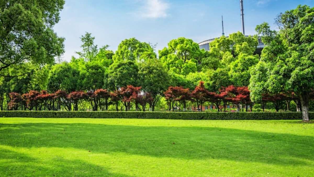 Aménager son jardin avec des haies artificielles : conseils pratiques