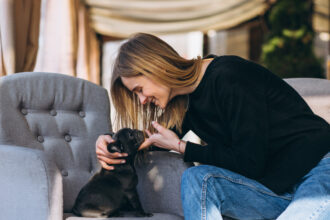 Garde d’animaux à domicile : pourquoi c’est une option idéale pour votre chien ou votre chat ?
