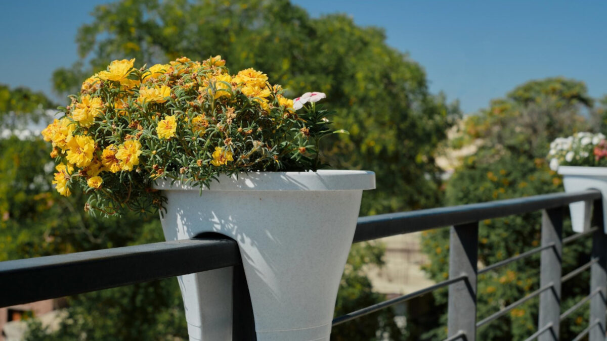 L’art de choisir les bons pots pour un balcon apaisant et verdoyant