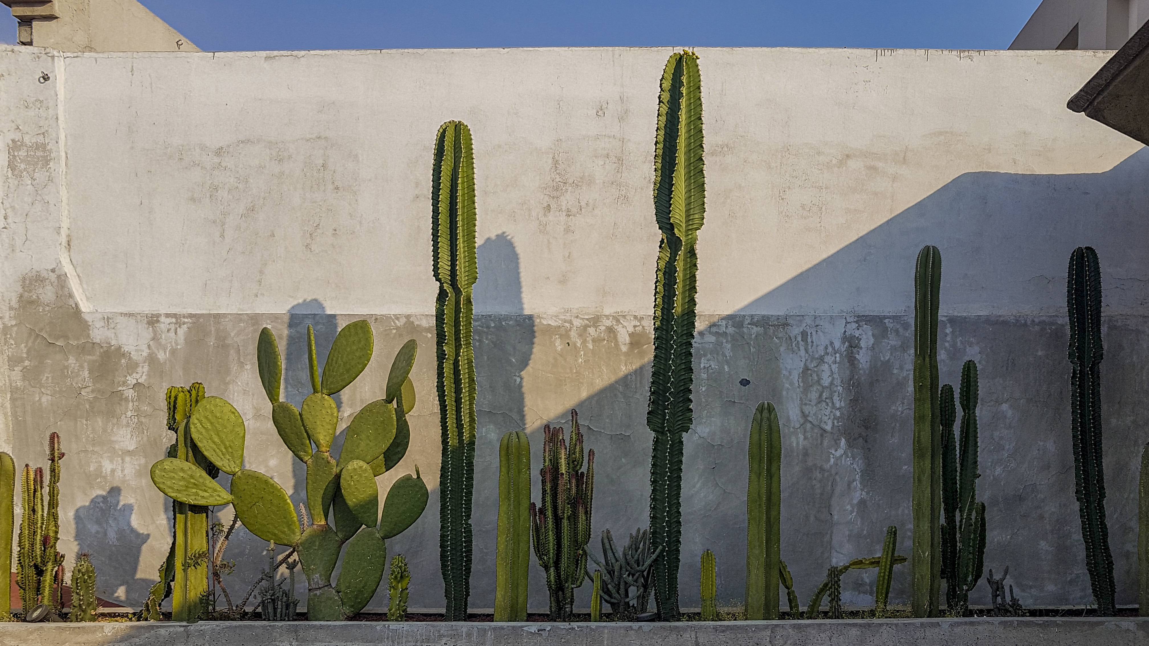 hacienda décoration